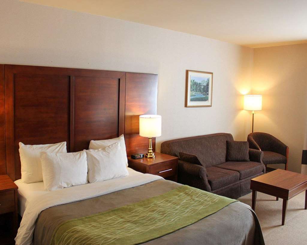 Comfort Inn & Suites Шауиниган Стая снимка
